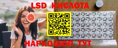 прущие грибы Новодвинск