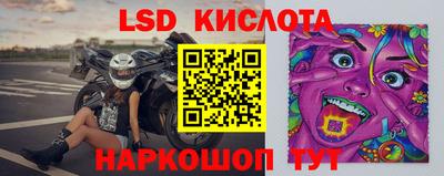 прущие грибы Новодвинск