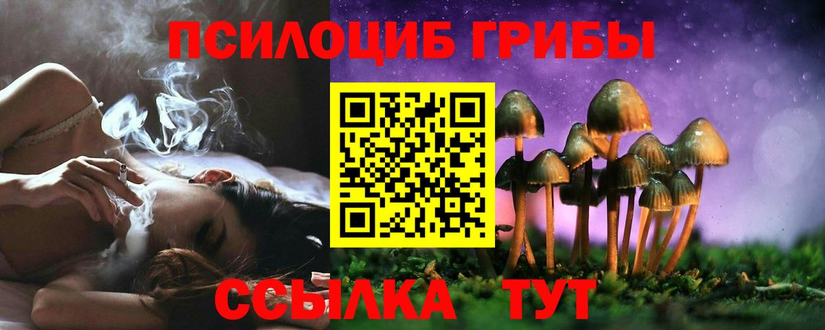 Псилоцибиновые грибы Psilocybine cubensis  купить закладку  Галлюциногенные грибы Magic Shrooms  Нарткала  Вход с VPN 